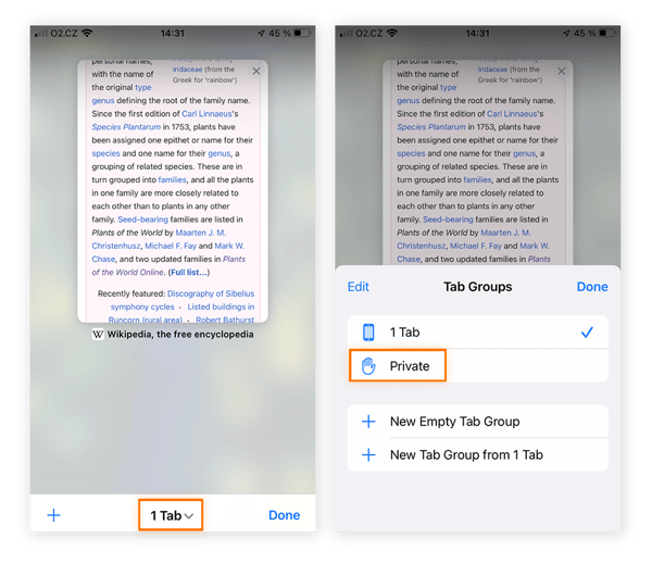 Buscar la opción «Nav. privada» en Safari para entrar en el modo incógnito en su iPhone.